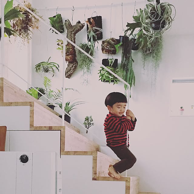 tabatyさんの実例写真