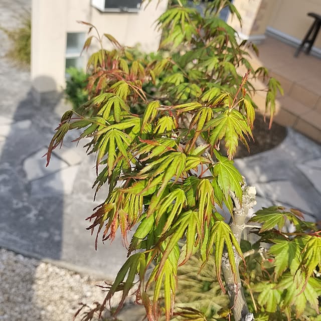 feuileさんの部屋