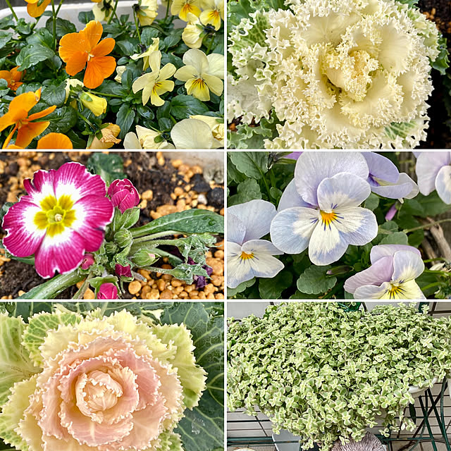 YuuKoさんの実例写真