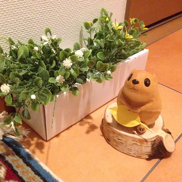 naocolor7さんの実例写真