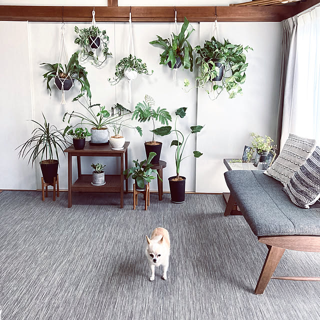 koromo.さんの実例写真