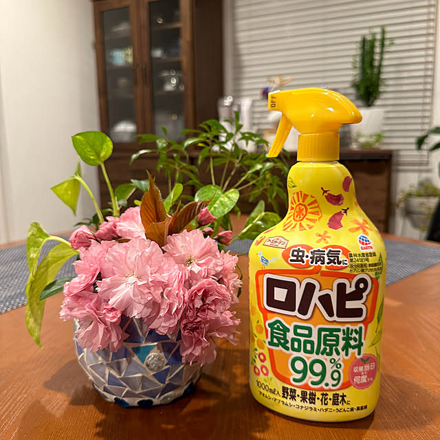 hanahana1444さんの部屋