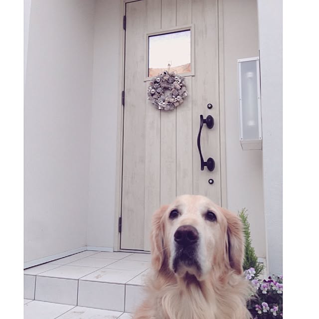 hamninさんの実例写真