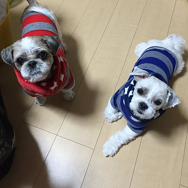 emiさんの実例写真