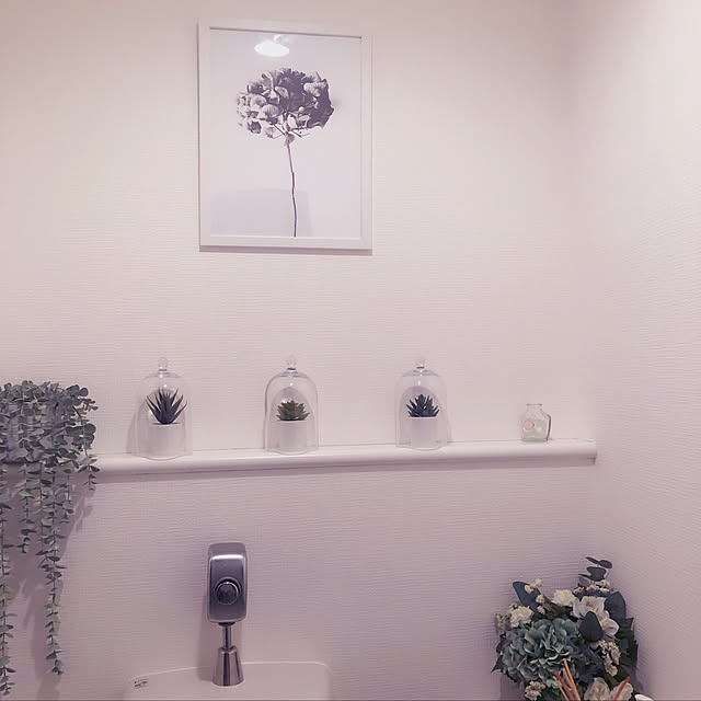 camelliajaponicaさんの実例写真