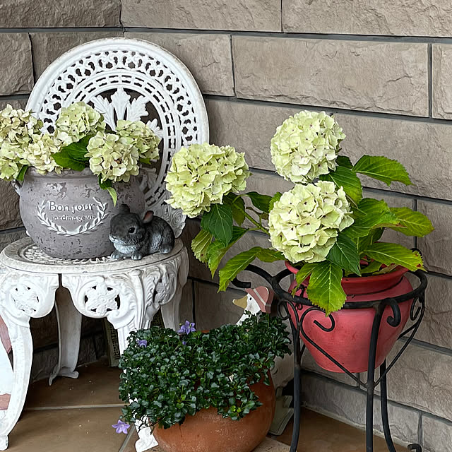 kuraさんの部屋