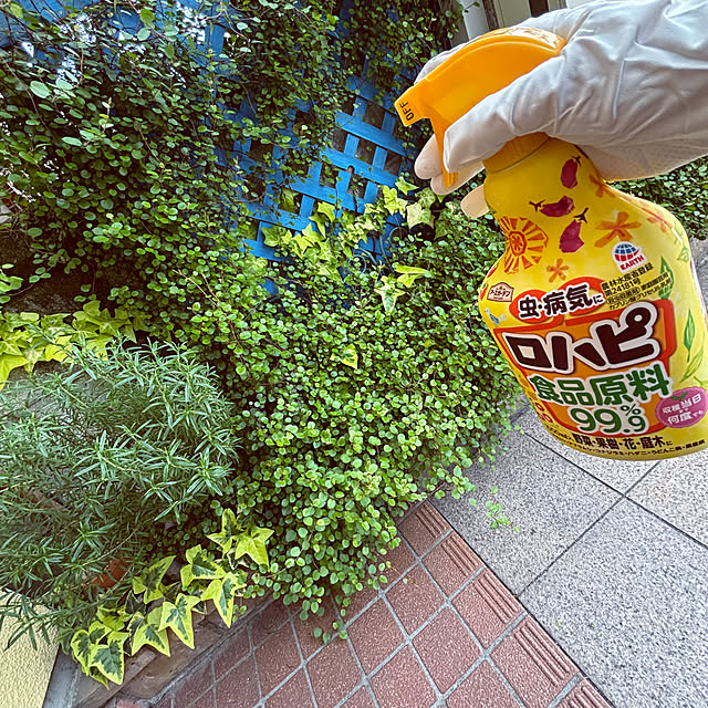 masamasaさんの部屋