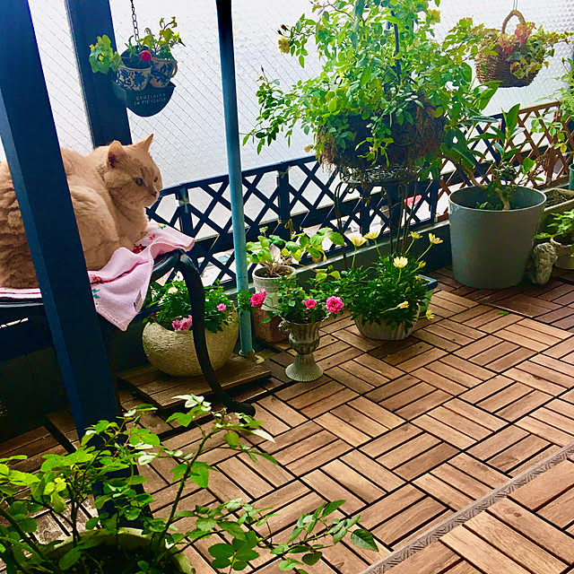 naokoさんの部屋