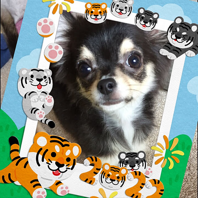 asaml13さんの実例写真