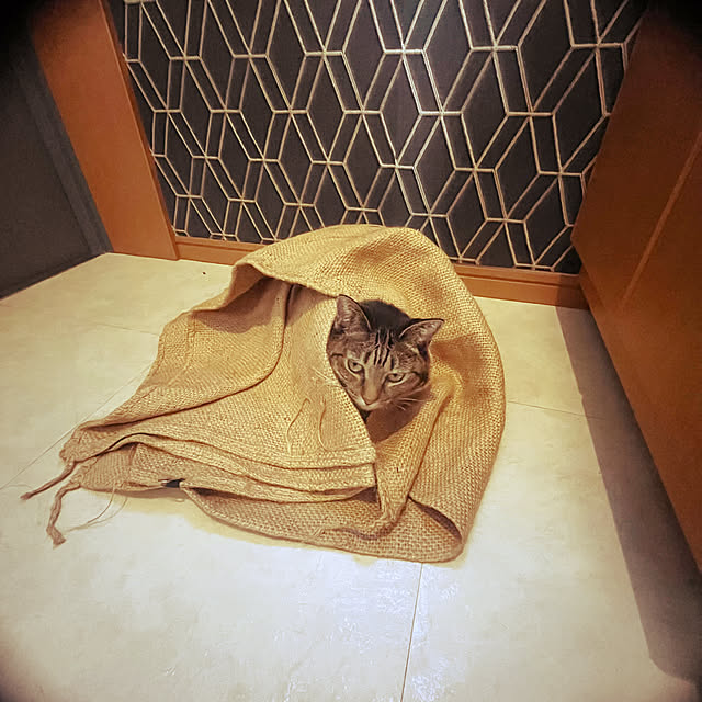 Mさんの部屋