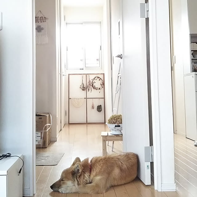 kaoriさんの実例写真