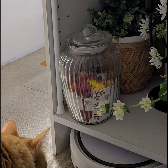 mori_6_12さんの部屋