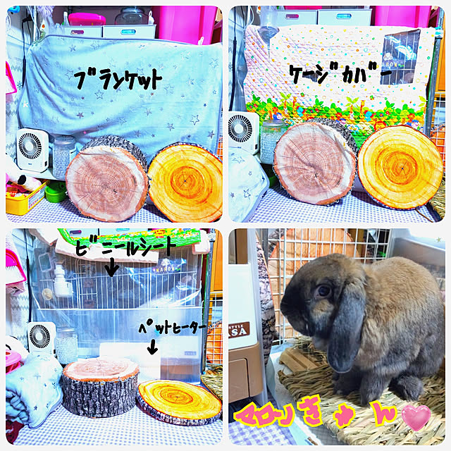 mariaさんの実例写真