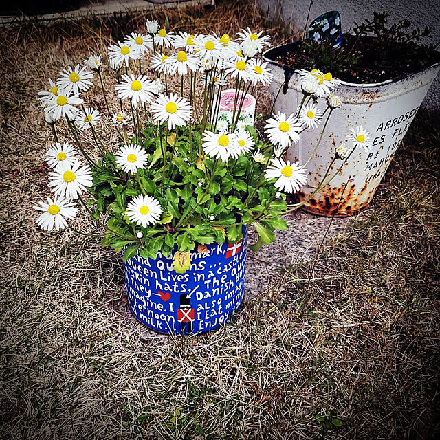 masarinn.さんの実例写真