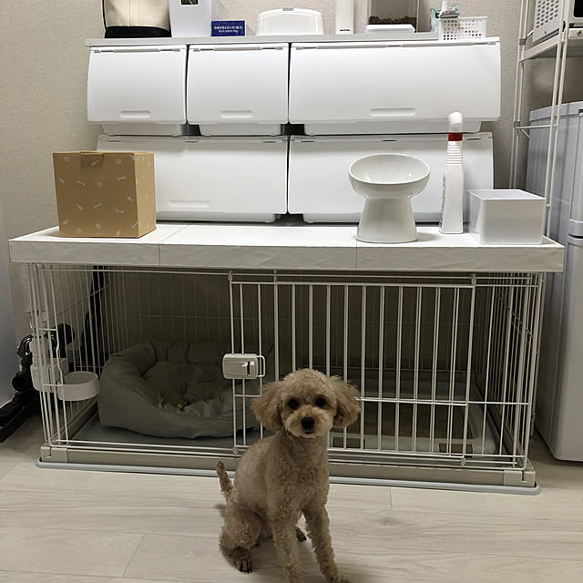 msrさんの実例写真