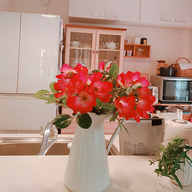 magnoliaさんの実例写真