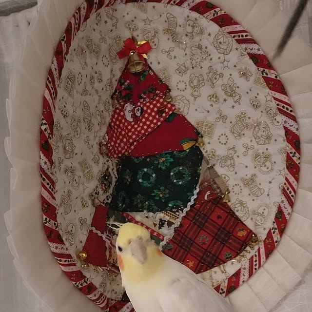 toratanさんの実例写真