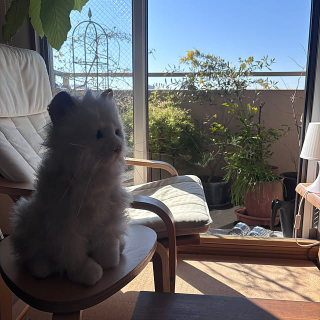 cottoncottonさんの実例写真