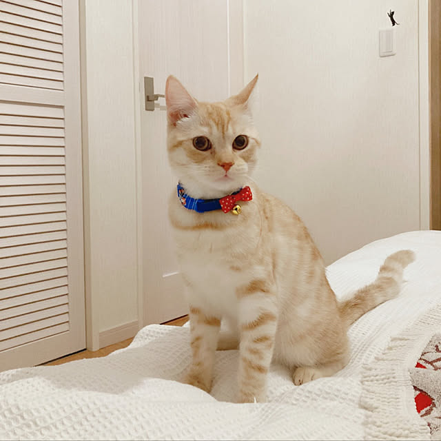 m.k.mさんの実例写真