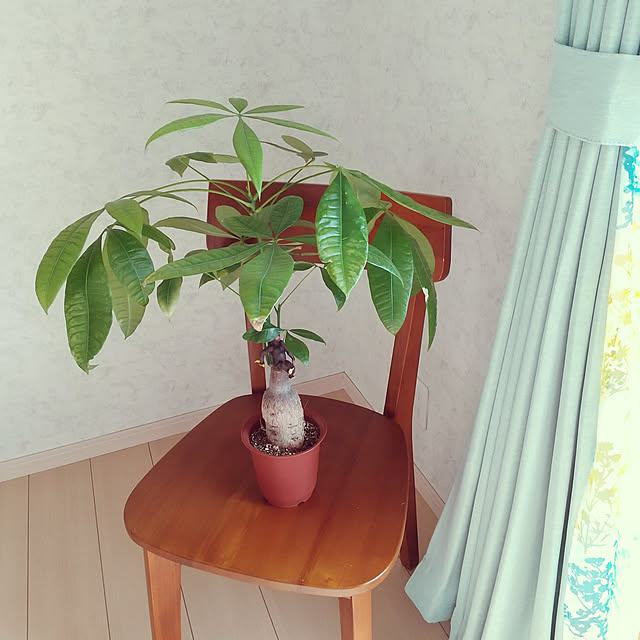 meiさんの実例写真