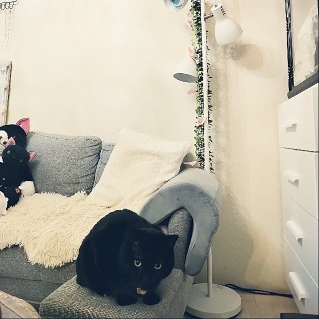 Tさんの実例写真