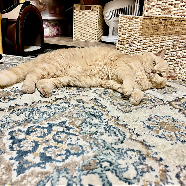 naokoさんの部屋