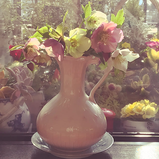 fuyiqian1026さんの実例写真