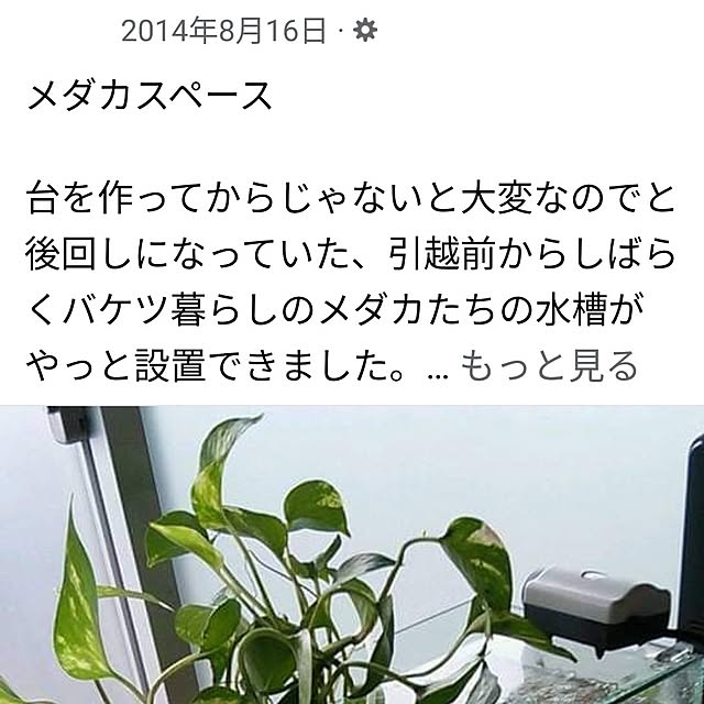 mi-saさんの部屋