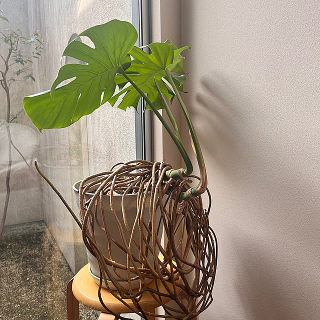 Komiyaさんの部屋