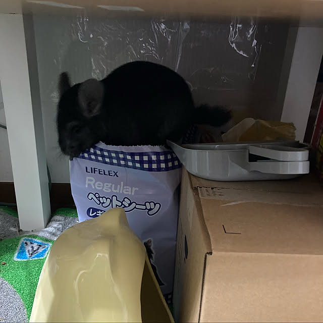 milkさんの実例写真