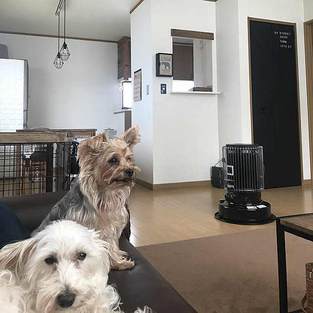 mocoさんの実例写真