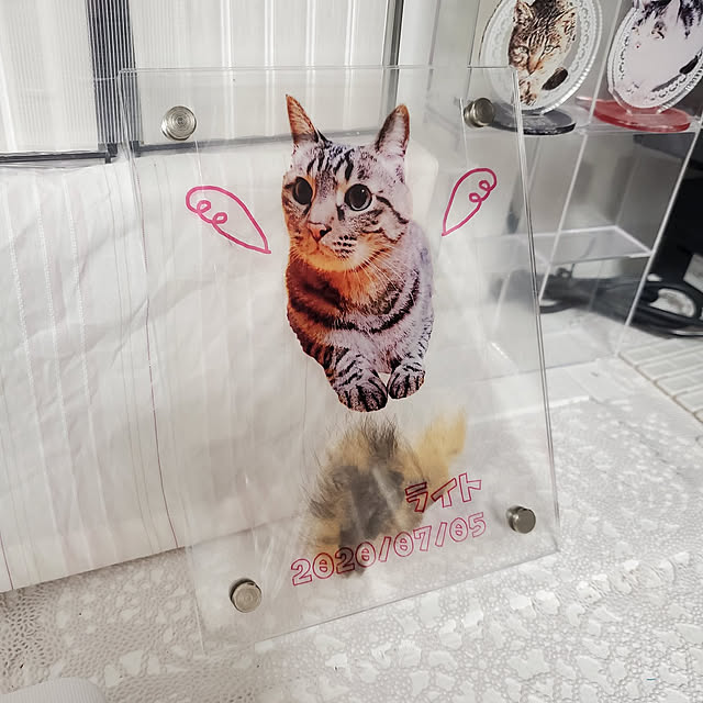 bellさんの実例写真