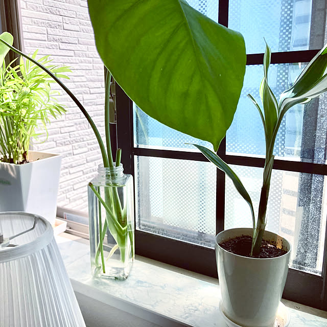 MOMOMAMAさんの部屋