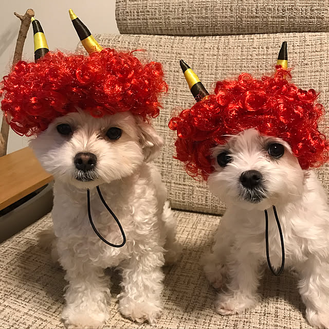 maru-cheeさんの実例写真
