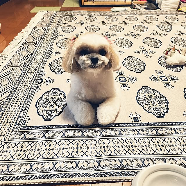araaraさんの実例写真