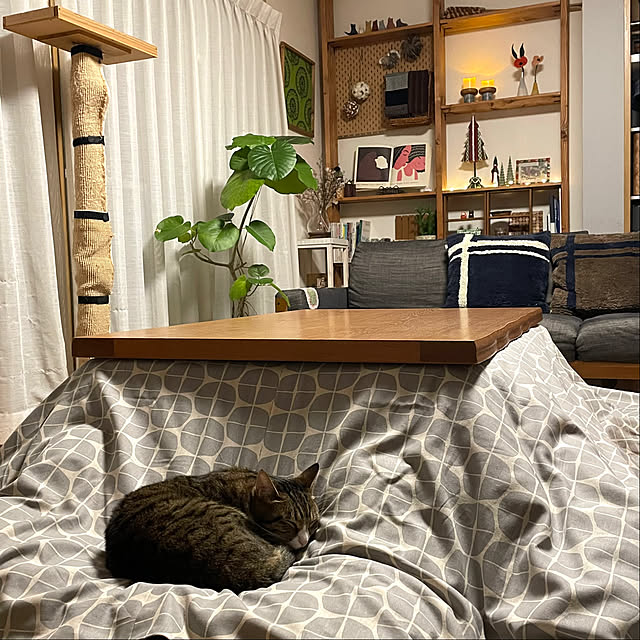 nobikoさんの部屋