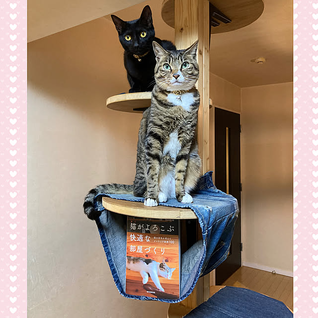 suemonta14さんの実例写真