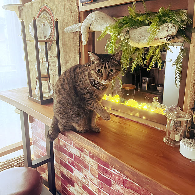 Mさんの部屋