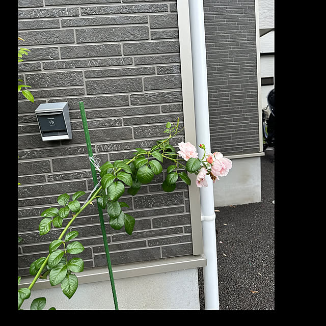 Hさんの部屋