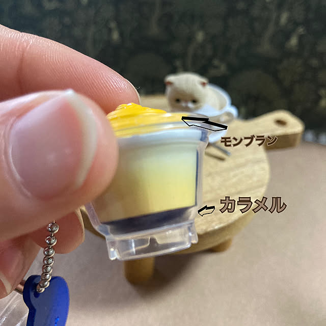 manduonmaさんの部屋