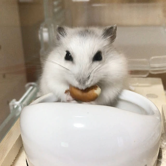 senamamaさんの部屋