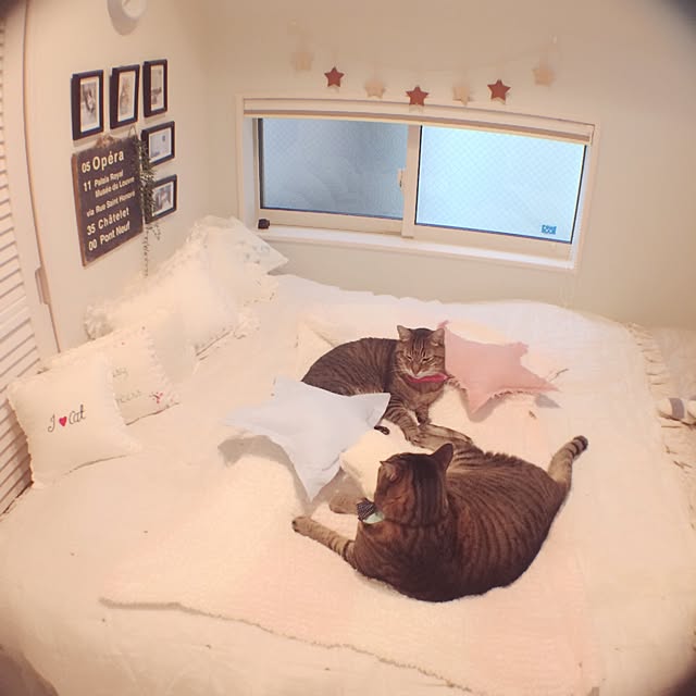 lovecatさんの実例写真