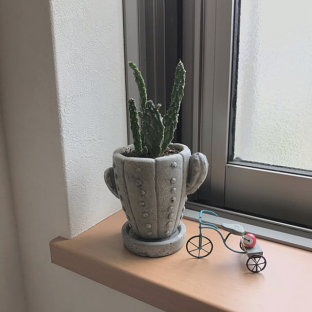 Karlyさんの実例写真