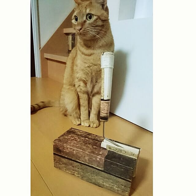 u00kさんの実例写真