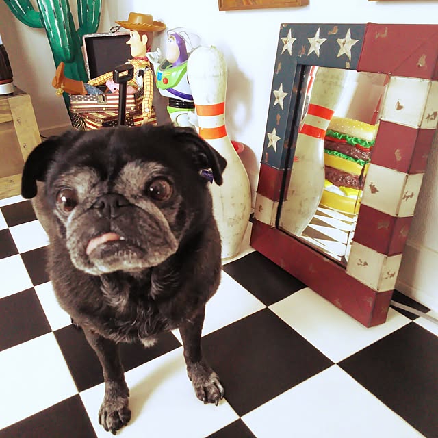 kuupugさんの実例写真