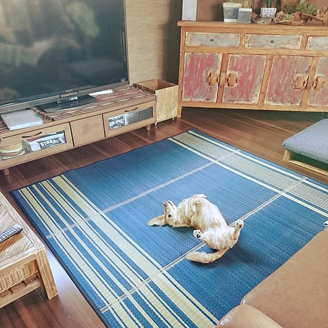 cocosorasakuさんの実例写真