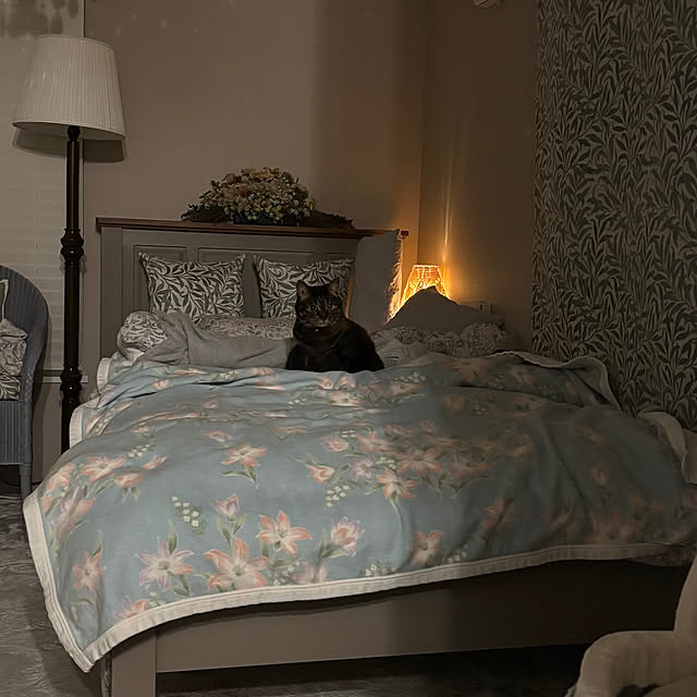 momocchiさんの実例写真