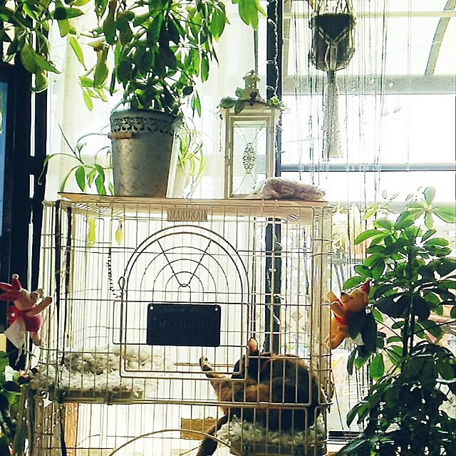 mcomcoさんの実例写真