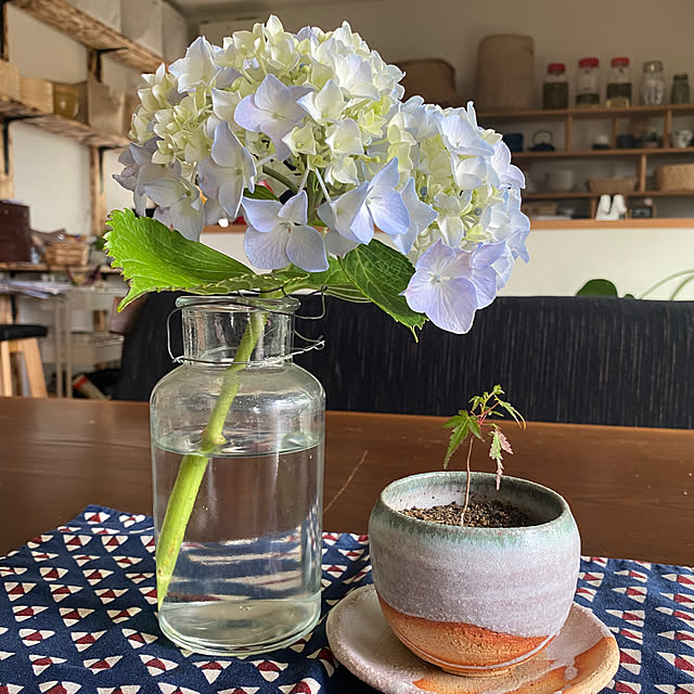 kotaroさんの部屋