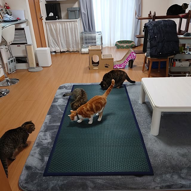 noguriさんの実例写真